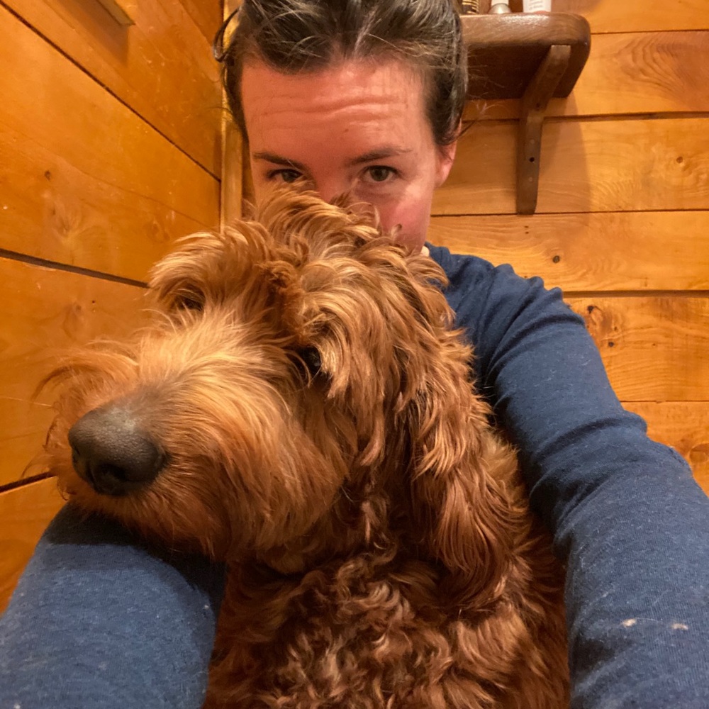 Meet your Posher, Molly